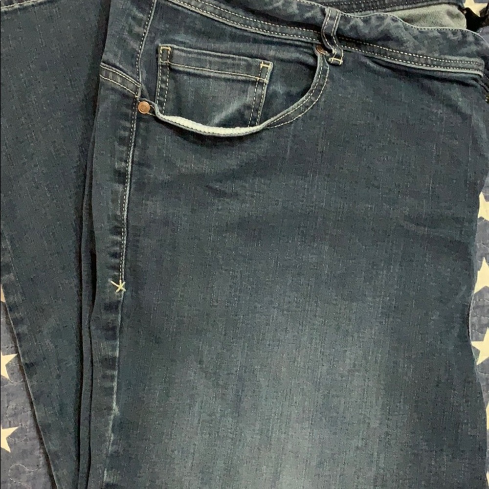 Lane Bryant Skinny straight leg.